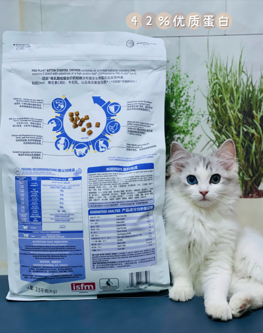 小猫吐猫粮：如何呵护幼猫娇嫩肠胃，冠能奶糕粮绝对是很稳！