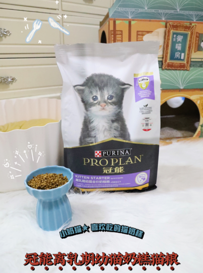 小猫吐猫粮：幼猫不吃猫粮怎么办？反思一下你的猫粮选对了吗？