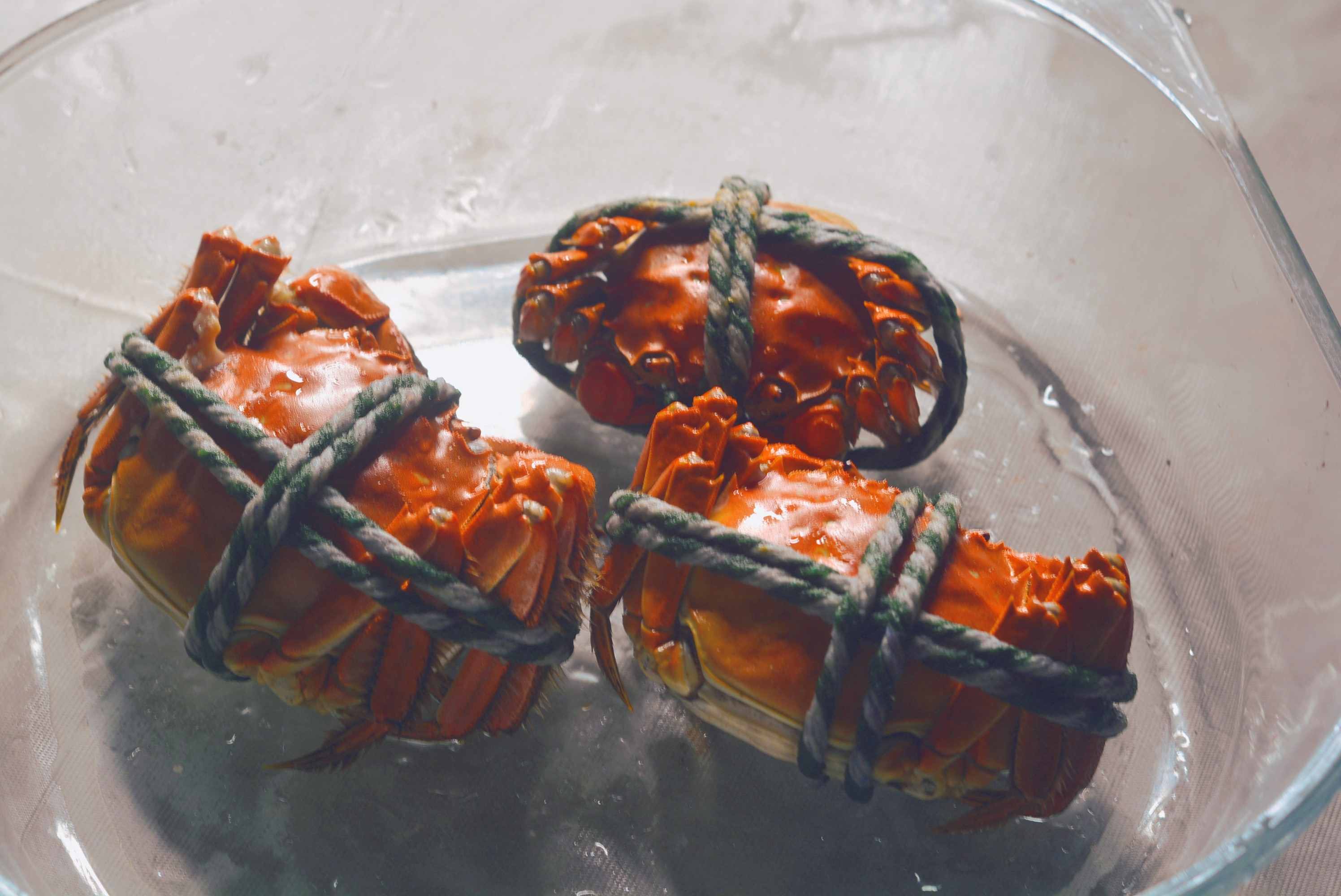 给活螃蟹保鲜，直接放冰箱是大忌，记住个小妙招，存放5天都鲜活