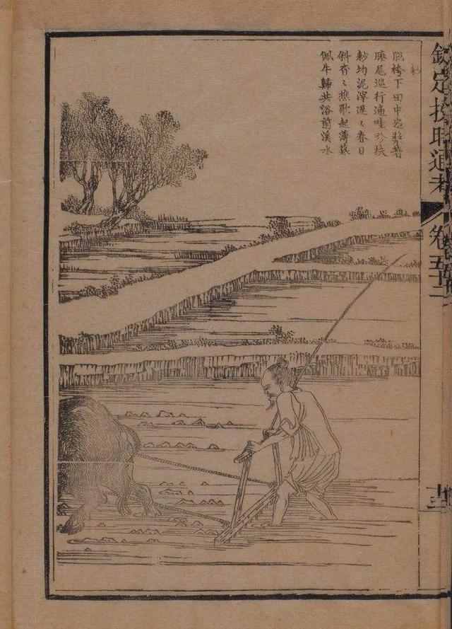此书号称中国古代农业百科全书，解释了为什么清朝能有四亿人口