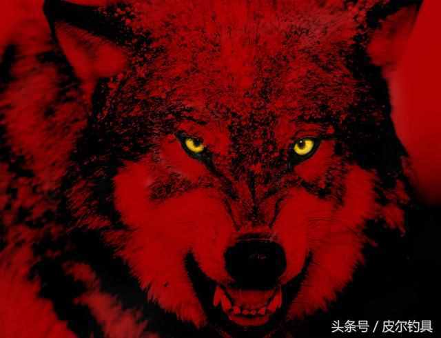 美国红狼十大畅销台钓竿排行榜！