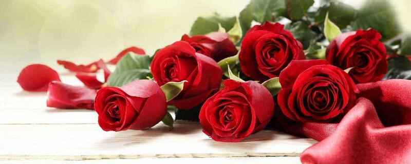19朵玫瑰代表什么，19朵玫瑰花谐音是“永久”