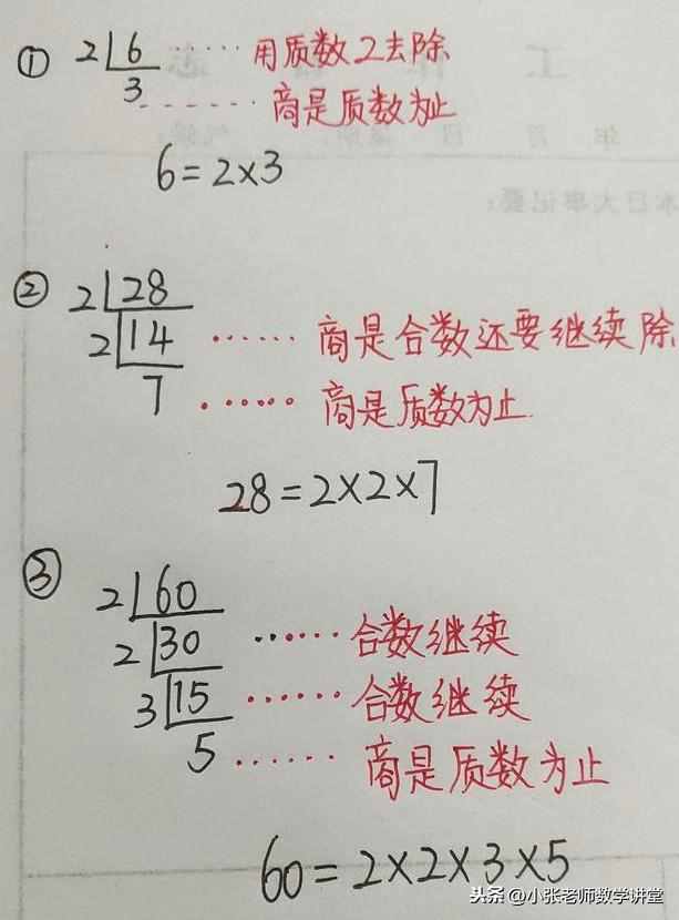 五年级数学：分解质因数，你学会了吗？教你几招，轻轻松松掌握