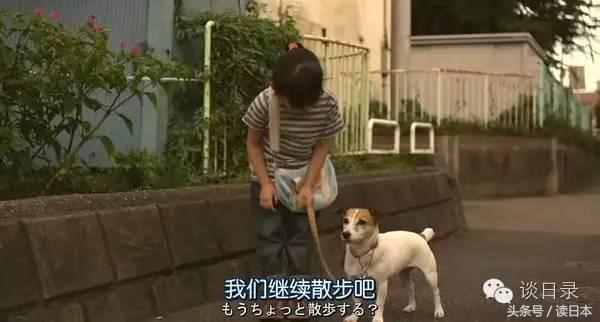 孙秀萍：日本人养狗先培训