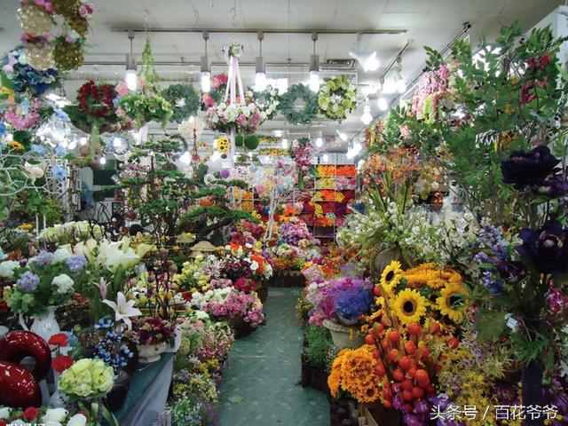 窍门：教你如何在花店选花，别再被花店老板忽悠啦！