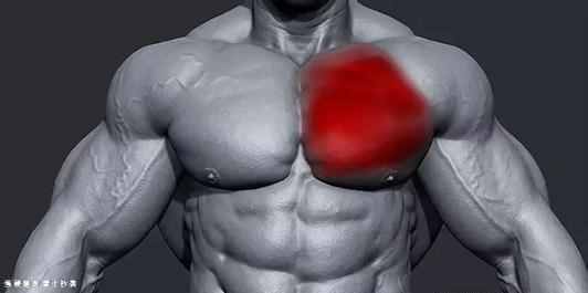用半个小时练爆胸肌，只需四个动作，给你前所未有的胸肌泵感