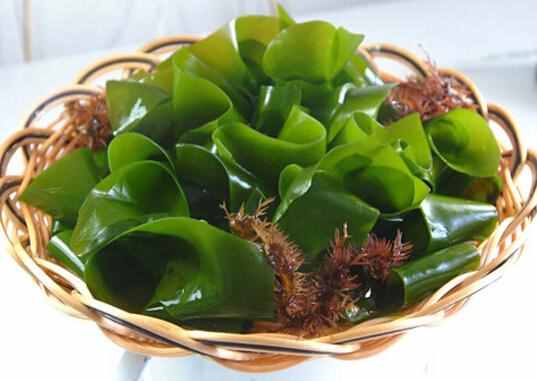 螺旋藻的功效与作用 营养价值及禁忌