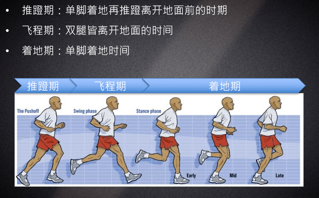 跑步机正确跑步姿势_正确跑步姿势 知乎_跑步的正确姿势动图