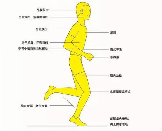跑步的正确姿势图解_跑步机正确跑步姿势_跑步减肥的正确姿势