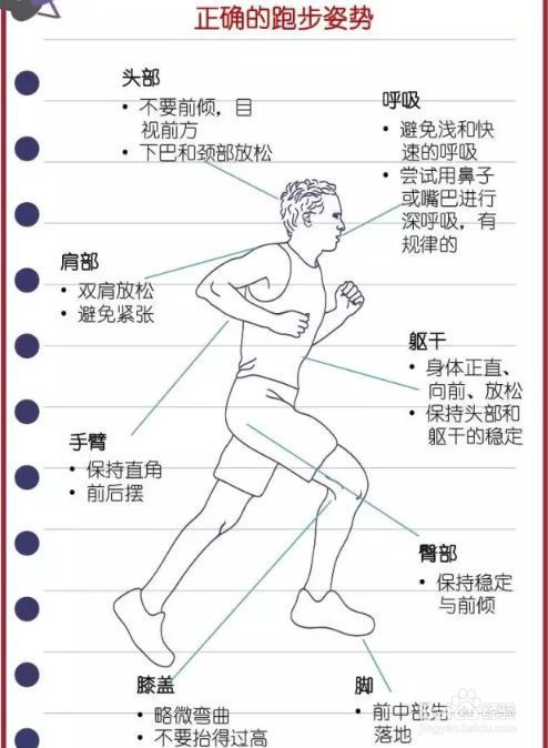 跑步的正确姿势动图_跑步的正确姿势图解_跑步正确姿势