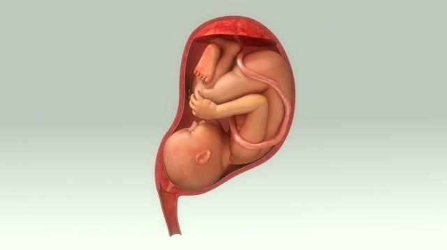 什么是双顶径，不同月龄胎儿双顶径多少算正常多大适合顺产？