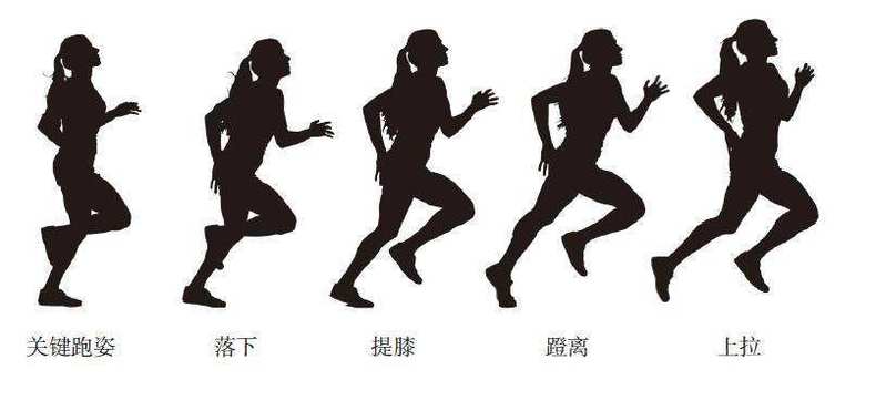 跑步机跑步姿势图片_跑步瘦腿的正确跑步姿势视频_跑步姿势矢量图