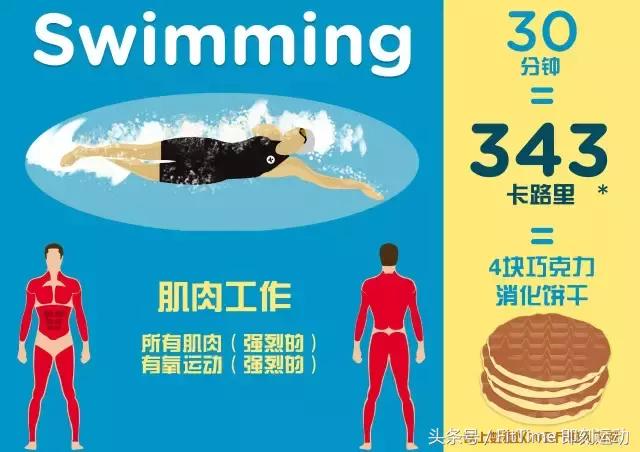 游泳减肥和跑步减肥_游泳和跑步哪个减肥_跑步 游泳 减肥