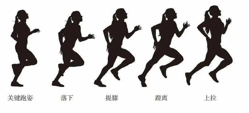 跑步落地的正确姿势_马拉松跑步姿势分解_正确跑步姿势分解图