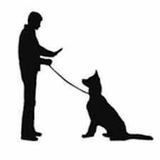 让狗狗听懂你的话——在家最简单的训练方法