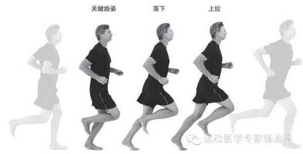 教你正确跑步姿势图片_跑步的正确姿势视频_正确的跑步减肥姿势