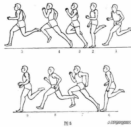 200米100米短跑技巧和动作要领之起跑和疾跑和途中跑等