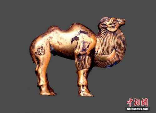 秦始皇陵金骆驼是什么样的现场图 秦始皇陵出土金骆驼墓主身份是谁