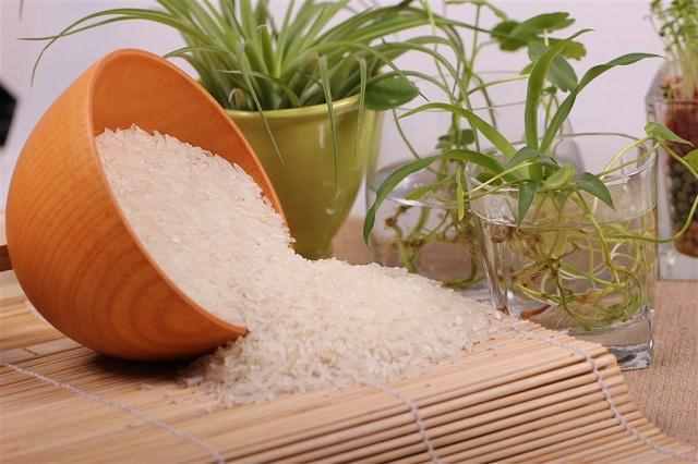 吃大米窍门多，籼米、粳米和糯米知多少？