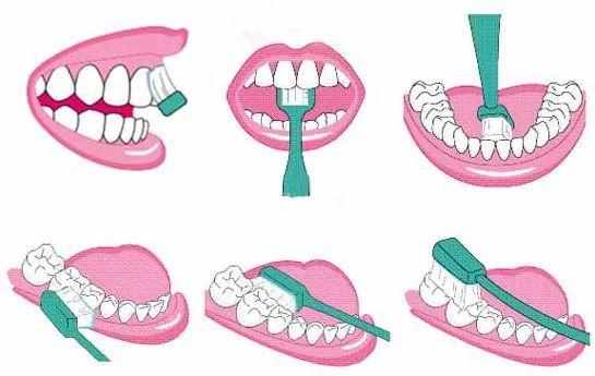 5款儿童电动牙刷测评：哪款清洁能力更强？