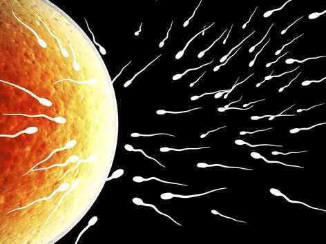 排卵期是受孕的最佳时间，那么排卵期到底怎么计算才准确？