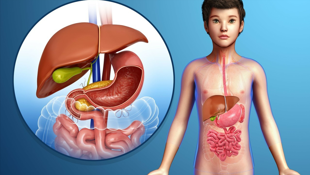 胆囊炎的症状有哪些危害(胃疼，就是得了胃病？胆囊炎5大症状，莫与胃病混淆)