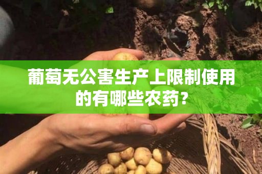 葡萄无公害生产上限制使用的有哪些农药？