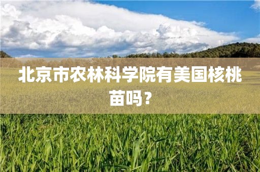 北京市农林科学院有美国核桃苗吗？
