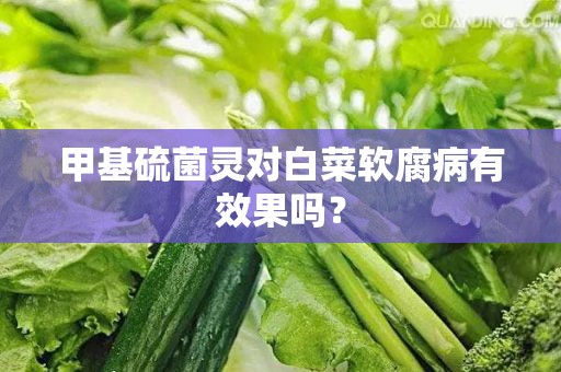 甲基硫菌灵对白菜软腐病有效果吗？