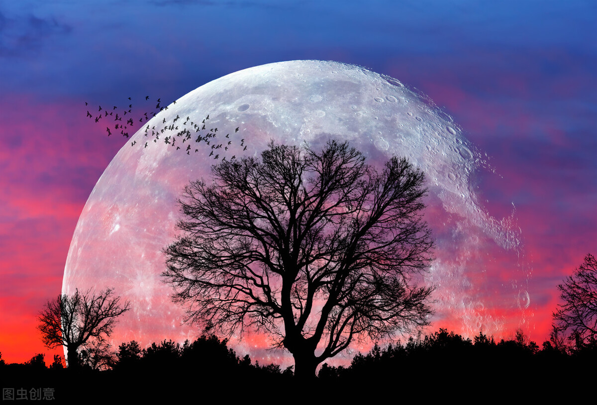 描写月亮的诗句有哪些短的（分享几句关于明月的古诗词句，你我共赏一轮明月）