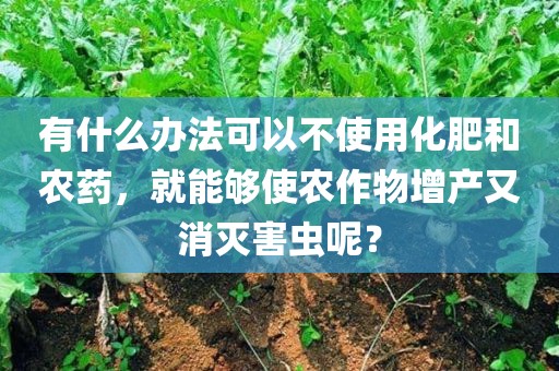 有什么办法可以不使用化肥和农药，就能够使农作物增产又消灭害虫呢？