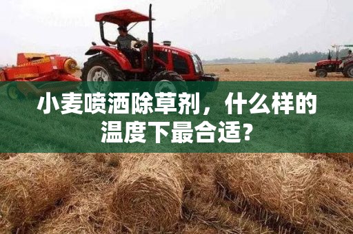 小麦喷洒除草剂，什么样的温度下最合适？