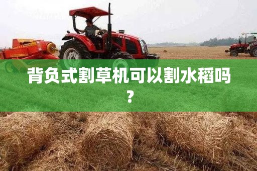 背负式割草机可以割水稻吗？