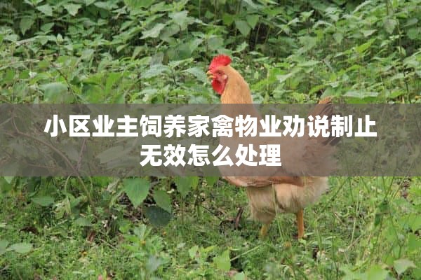 小区业主饲养家禽物业劝说制止无效怎么处理