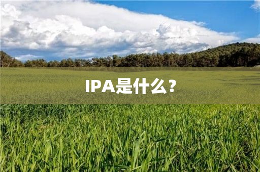 IPA是什么？