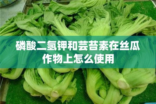 磷酸二氢钾和芸苔素在丝瓜作物上怎么使用