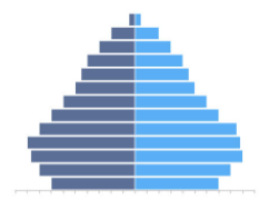 金字塔人口增长图怎么看__金字塔人口结构图