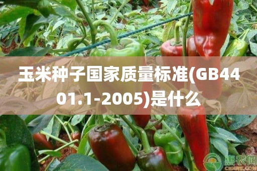 玉米种子国家质量标准(GB4401.1-2005)是什么