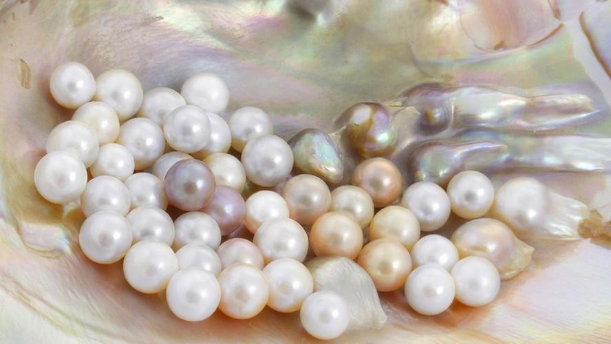 珍珠的形成原理 珍珠是怎么形成的？原来这么神奇