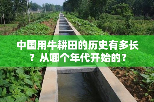 中国用牛耕田的历史有多长？从哪个年代开始的？
