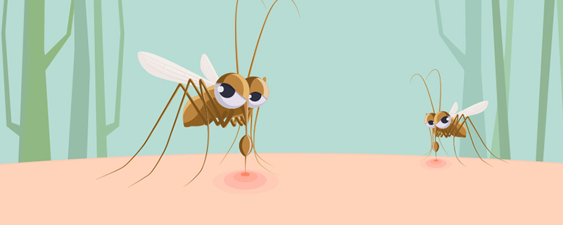 蚊子是怎么来的 蚊子是怎么产生的
