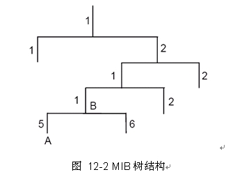 树的根结点可以为0吗__树的根节点是不是只有一个
