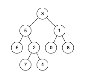 _树的根节点是不是只有一个_树的根结点可以为0吗