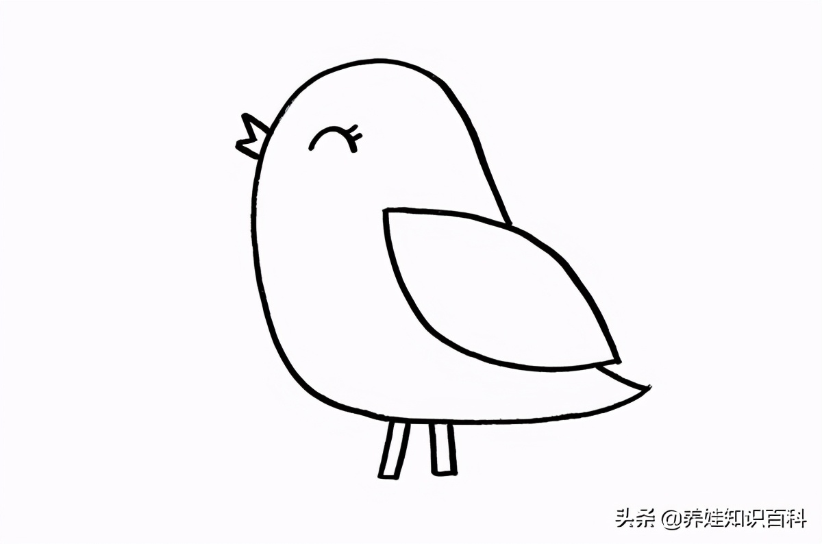 怎么画小鸟？可爱的小鸟画法教程来喽，小朋友们赶紧来学学哦