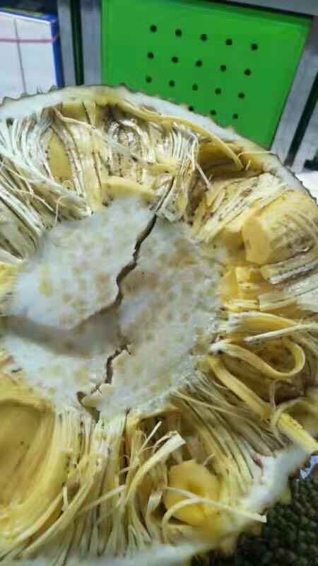 蜜菠萝种植技术视频教程全集__菠萝蜜种植法