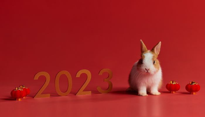 2023年是什么兔年 2023年运势旺盛的人