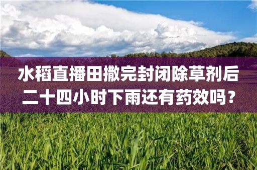 水稻直播田撒完封闭除草剂后二十四小时下雨还有药效吗？