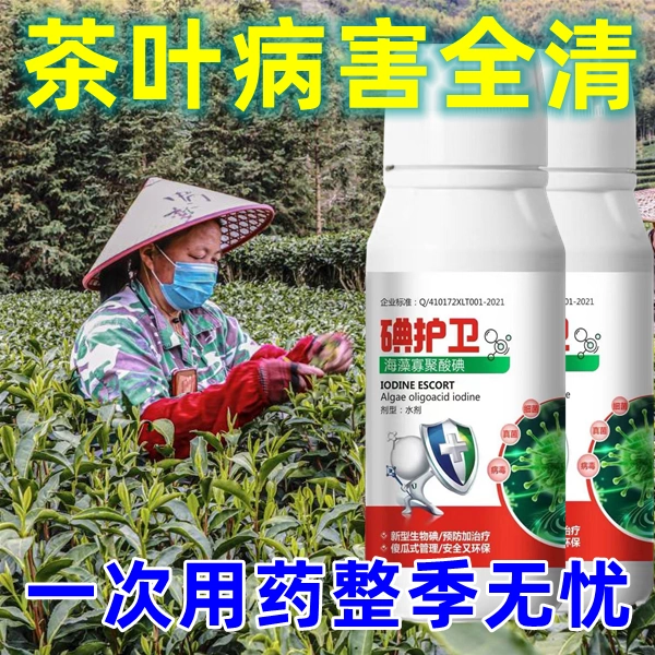 _茶叶防治害病虫技术主要包括_最新茶叶病虫害防治技术