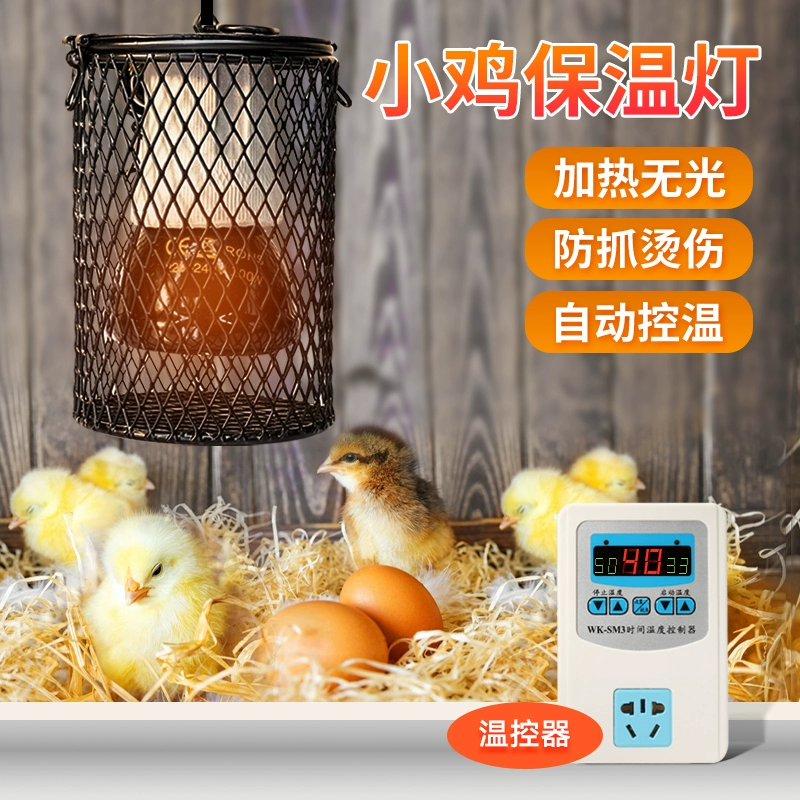 孵化后的小鸡保温要多少度_小鸡保温孵出来要多久_