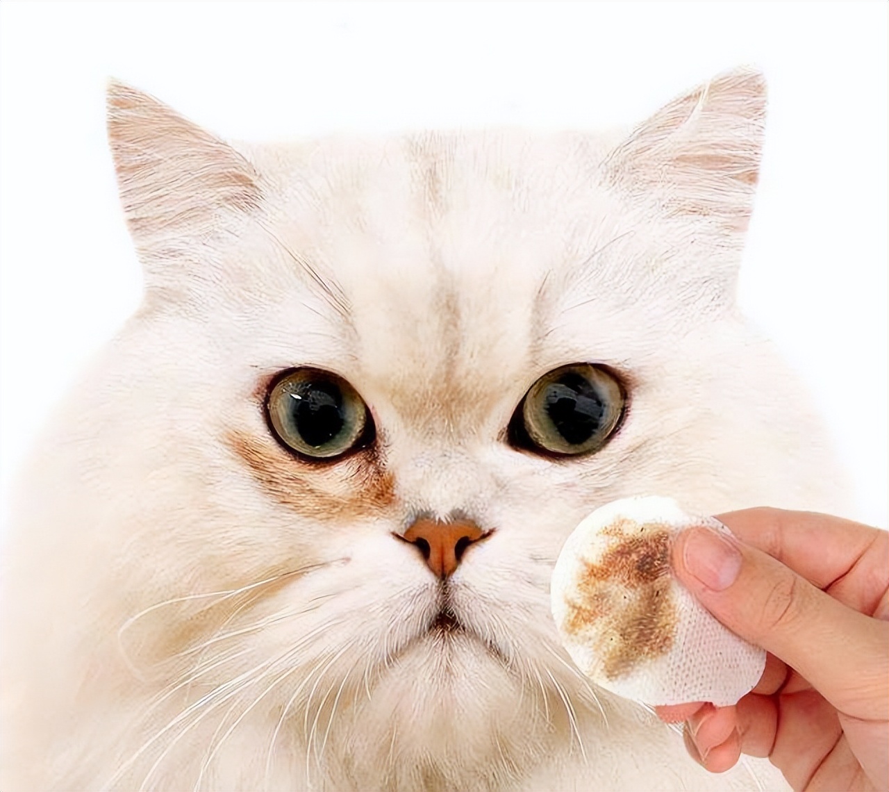 猫咪有泪痕是怎么回事 ，原因可不仅仅是因为饮食太咸，还可能是这些原因